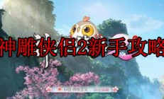 神雕侠侣2推荐阵容（神雕侠侣2新手攻略）