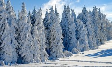 今日大雪 冷知识来袭：哪个节气雪最大 答案意想不到