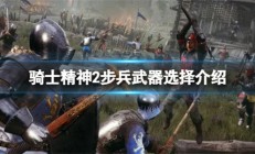 骑士精神2选哪个团队（骑士精神2步兵武器选择介绍）