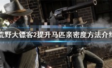 荒野大镖客2马亲密度等级怎么看（荒野大镖客2提升马匹亲密度方法介绍）