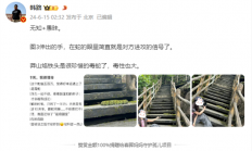 女子路遇超级国宝“莽山烙铁头”近距离合照 博主怒斥：无知又愚昧