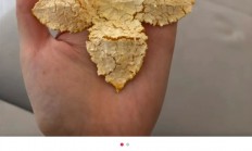 陈皮不就是晒干的橘子皮吗 为啥卖那么贵！