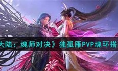 魂师对决独孤雁魂环配置（斗罗大陆魂师对决独孤雁PVP魂环搭配攻略）