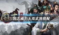 三国志威力无双武将搭配攻略（这都可以）