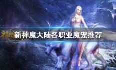 新神魔大陆手游魔宠刷新地点（新神魔大陆魔宠哪个好）