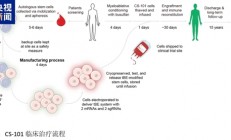 我国研发新型基因编辑技术：有望让重症地贫患者摆脱输血依赖