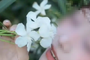 女子拍照时沾到夹竹桃花粉中毒过敏：为何有毒还要大规模种植
