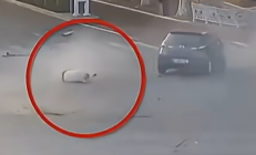 超速闯黄灯撞上无证闯红灯老人致其死亡 定责来了