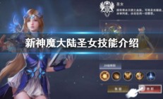 新神魔大陆圣女装备打什么魔石（新神魔大陆圣女怎么样）