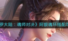 魂师对决阿银技能讲解（斗罗大陆魂师对决阿银魂环搭配攻略）