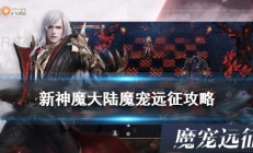 新神魔大陆魔宠远征怎么打（新神魔大陆魔宠远征怎么玩）