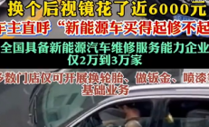 换个后视镜花了近6000元！新能源车主直呼：电车买得起修不起