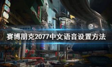 赛博朋克2077中文语音怎么设置（学到了吗）