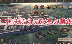 三国志威力无双阵容推荐（三国志威力无双怎么赚钱）