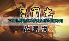 三国志战略版万箭齐发战法搭配攻略（全程干货）