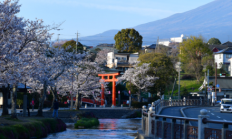 日本名古屋有山吗？分别有什么山？