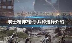 骑士精神2新手兵种选择介绍图（骑士精神2新手兵种选择介绍）