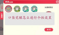 口袋觉醒怎么进行个性设置（学会了吗）