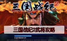 三国战纪2武将攻略（真没想到）