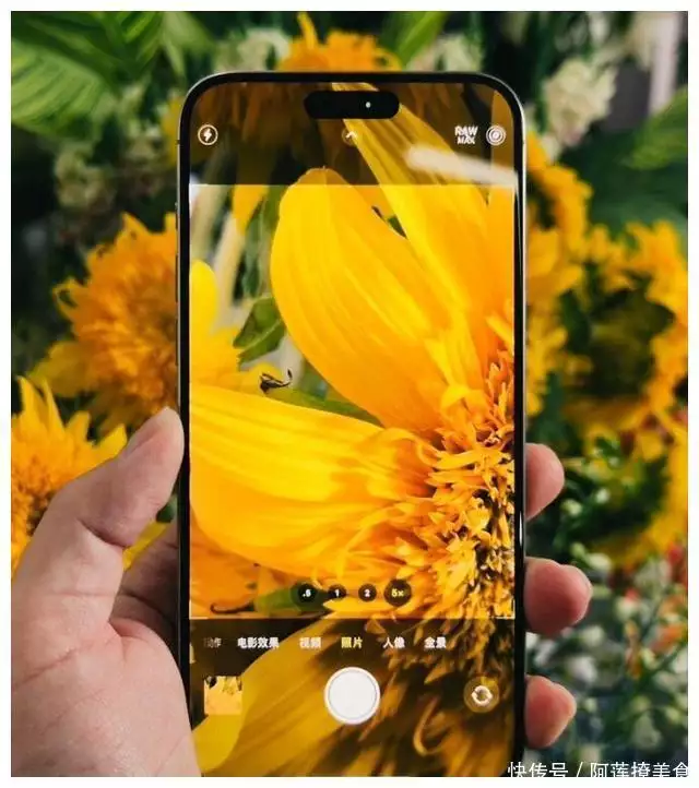 一点武德也不讲，iPhone 15 Pro跌破6400元，网友：又买早了他曾是一快递员，因长相帅气被杨幂发现，现成为名偶像明星 第5张