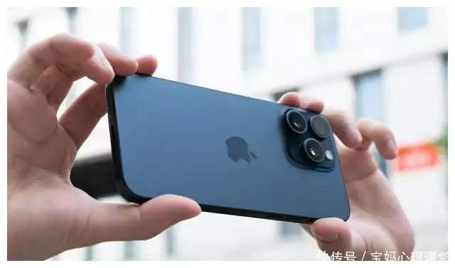 苹果16pro max价格（iPhone 16系列逐渐曝光，创新性依旧不大，不涨价或是关键？重庆一女子途经一千多公里回娘家，老家狗狗跑出迎接，场面太温馨） 第4张