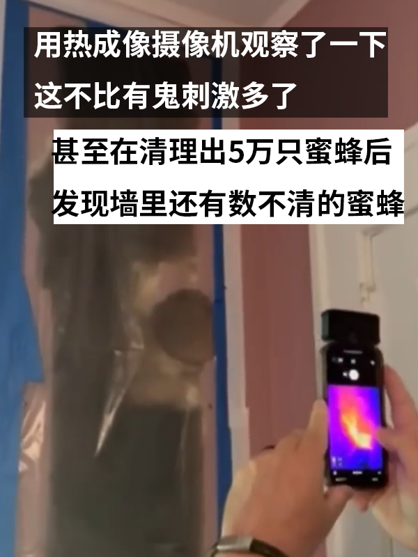 三岁女孩总说墙里有鬼：专业人士来了也被吓一跳！