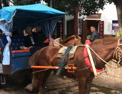 古代过年有春运一说吗 古人回家一趟需要花费多少钱（一看就会） 第2张