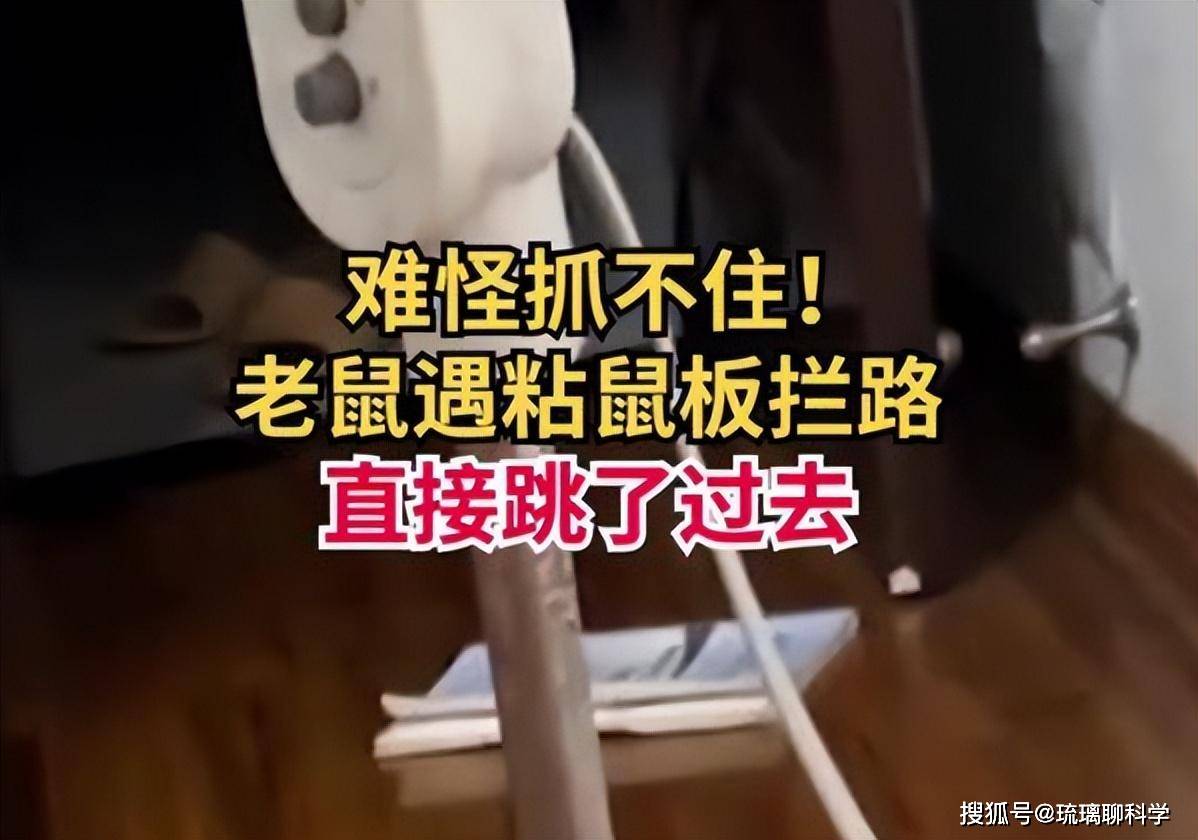 原子弹都杀不死的动物，堪称世界最强？它杀死的人类比战争还多？  原子弹都杀不死的动物 第4张