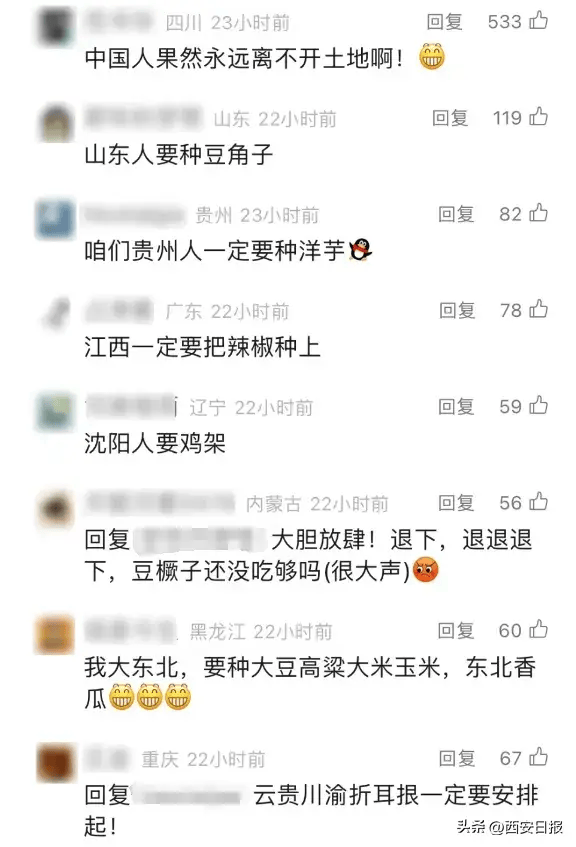 月球能不能种豆jue子？科研人员解答来了  月球种豆 第2张