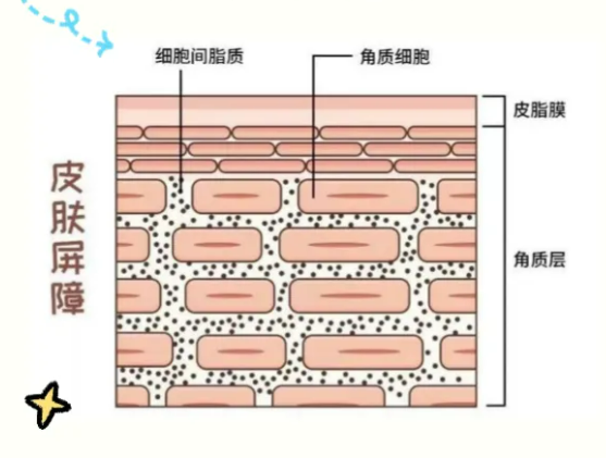 为什么洗完澡 感觉自己变好看了？四大原因 洗澡变好看 第2张