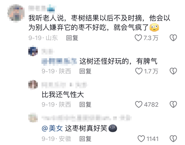 网友姥姥家的枣树突然就“发疯” 还会传染 真相来了