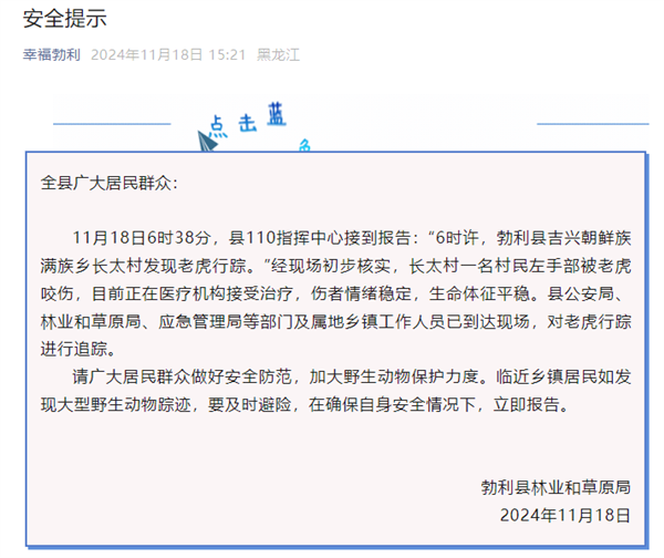黑龙江老虎进村猛撞门 有人手被咬烂 官方通报：正在追踪 黑龙江老虎进村 第2张