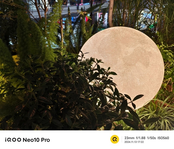 iQOO Neo10 Pro上述：天玑性能之王实至名归 Pro 第17张