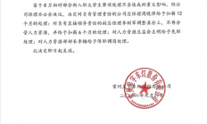 星宇车灯处罚决定又生变 被扒出未设人力资源总监相关岗位
