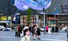 成都春熙路巨型3D蛇太逼真引争议：有网友不敢靠近