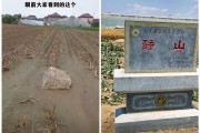 “全国最矮的山”火了：最高处只有0.6米