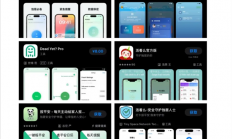 “死了么”带火APP开发：定制收费4000元起 AI零成本“手搓”