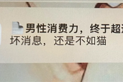 1亿直男也救不了虎扑