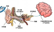 发病率上涨3倍多！好好的年轻人 怎么突然就听不见了