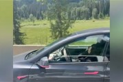 一副大墨镜骗过了特斯拉！司机开启FSD后睡着 车辆以时速100km狂奔