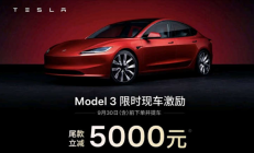 特斯拉“毛坯车” 国产车学不会