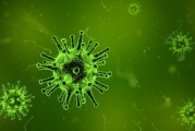 美国科学家首次用AI设计出病毒：用于感染细菌 不会对人类构成威胁