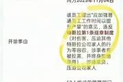 网传特斯拉产线组长因提倡加班提升产能 结果被全票表决开除