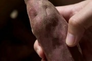 涉嫌敲诈勒索！女子仅退款9斤蜜薯称有本事来拿：律师解读不能把“维权”当成白拿商品借口