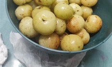 油柑维生素C含量是橙子8倍！被誉为便秘人士救星