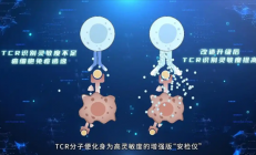 精准狙杀癌细胞！我国科学家突破T细胞识别瓶颈