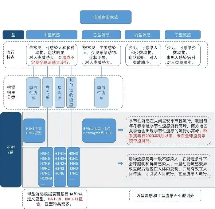 99%以上为甲流！多地疾控紧急提醒 99%以上为甲流 第2张