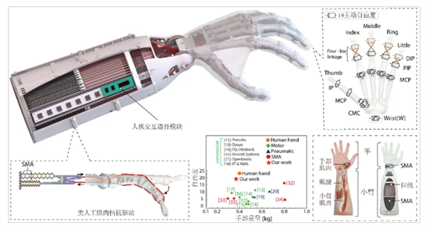 复现人手级运动能力！中国科大研发出19自由度假肢灵巧手 19自由度假肢灵巧手 第2张