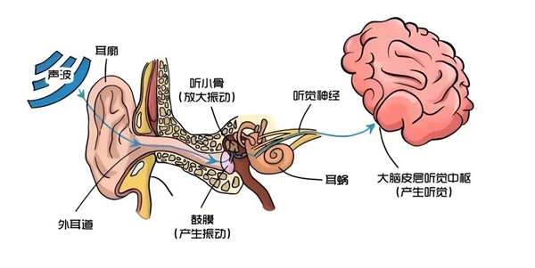 发病率上涨3倍多！好好的年轻人 怎么突然就听不见了 突然听不见了 第1张