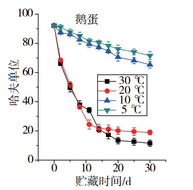 鹅蛋营养丰富 为什么很少有人吃 也很少有卖的 鹅蛋营养 第7张